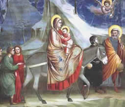 Non chiamarmi straniero