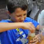 Mostre e laboratori…
