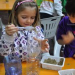 Mostre e laboratori…