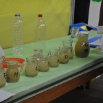 Mostre e laboratori…