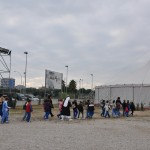 Mostre e laboratori…