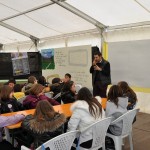 Mostre e laboratori…