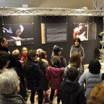 Mostre e laboratori…