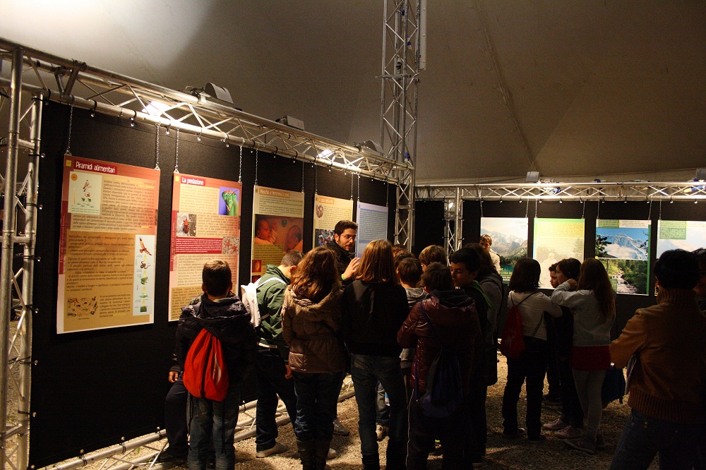 Mostre e laboratori…