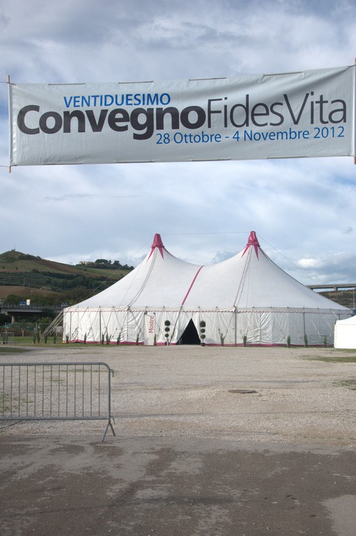 Una settimana nel quartiere