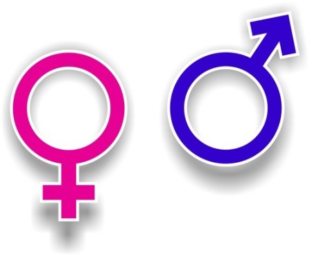 “Maschio e femmina Egli li creò” (Gen 1,27)