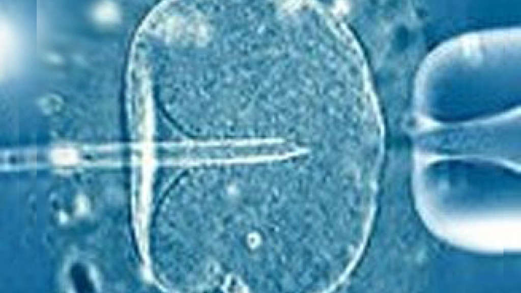Il figlio… da una tecno-scienza senza limiti né senso