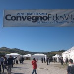 Domenica 2 novembre 2014