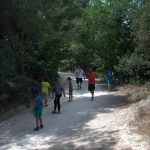 domenica 22 luglio