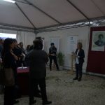 domenica 28 ottobre