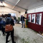 domenica 28 ottobre