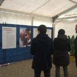 domenica 4 novembre